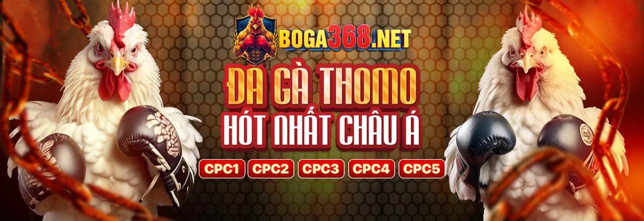 Sân đấu đá gà trực tuyến kịch tính tại MM88