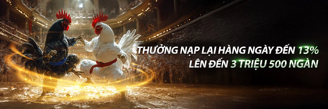 Hình ảnh đá gà trực tuyến sôi động trên mm88 link vào