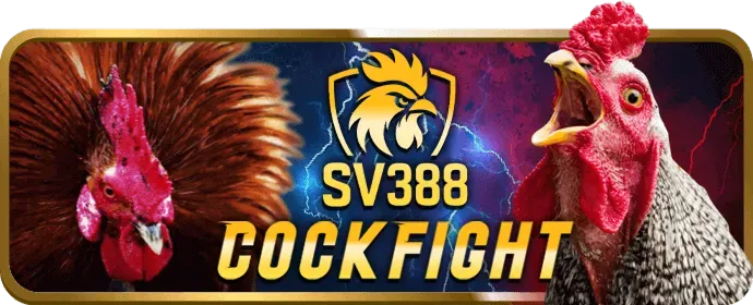 Chương trình VIP mm88 link vào
